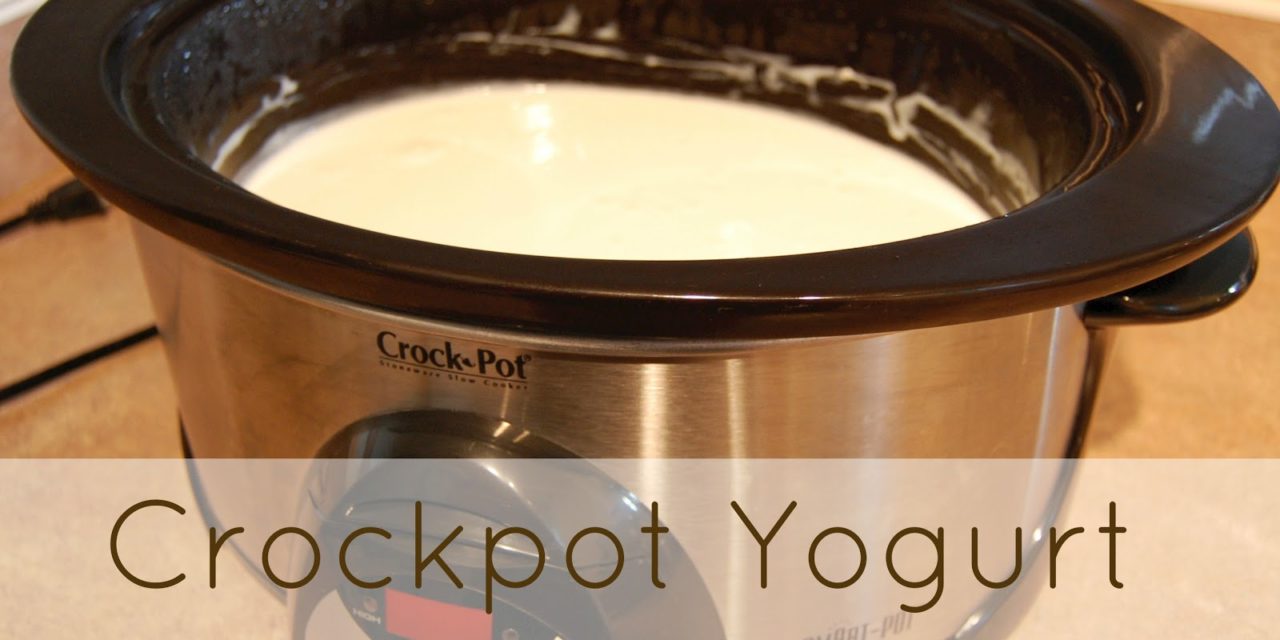 Making Yogurt in a Crock Pot The Pistachio Project