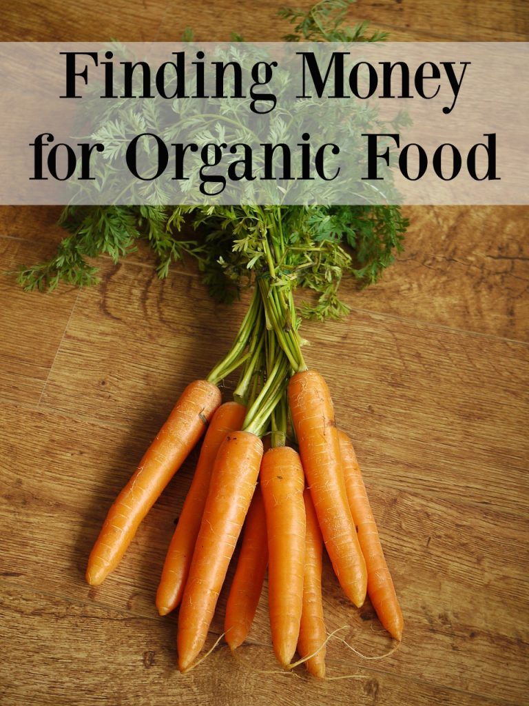 Finding Money for Organic Food - Having a hard time finding money for organic food? Feel like you can't afford organics on your budget? Check out these tips!