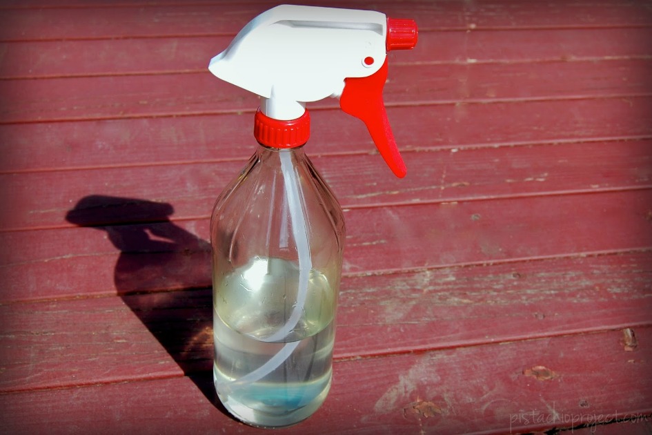 DIY Glass Spray Bottle The Pistachio Project