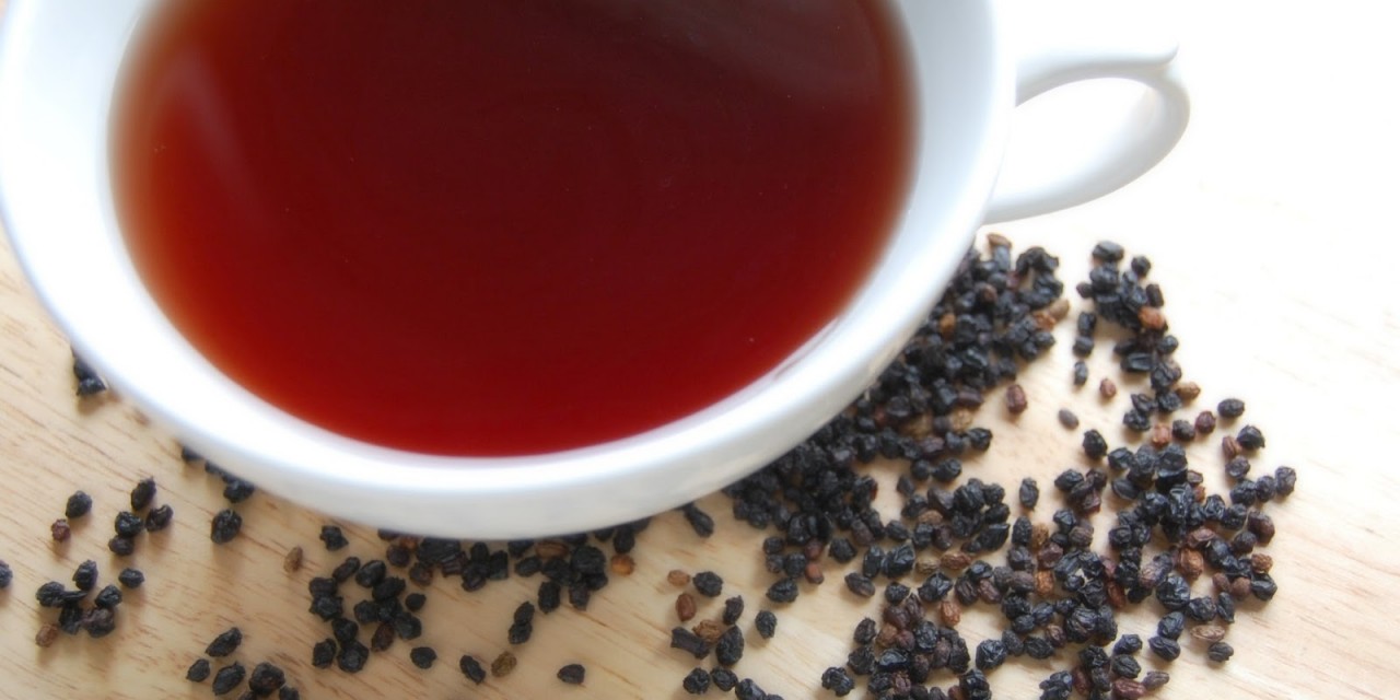 Reusing Elderberries to Make Elderberry Tea The Pistachio Project