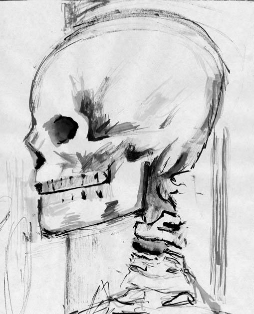 skull drawing