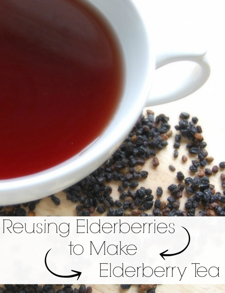 Reusing Elderberries to Make Elderberry Tea The Pistachio Project