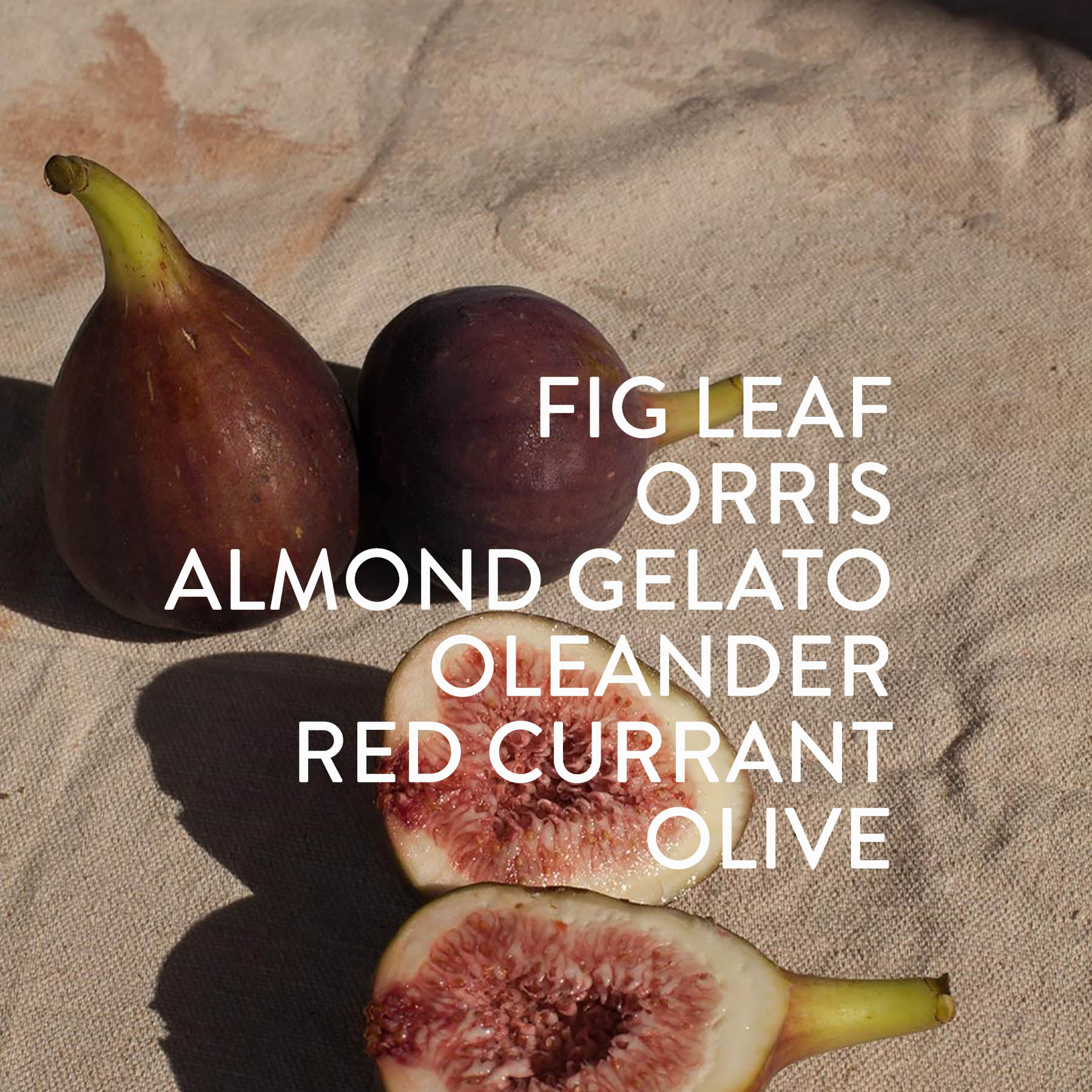 Particle Goods Coast Jar Candle - Image 2