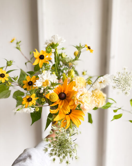 August Summer Special - Weekly Deliveries for $150 - Image 2