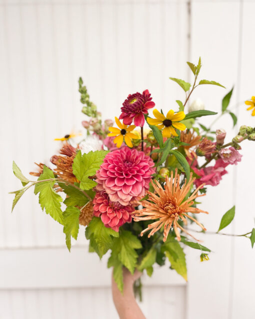 August Summer Special - Weekly Deliveries for $150 - Image 3
