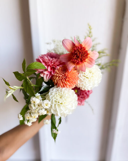 August Summer Special - Weekly Deliveries for $150