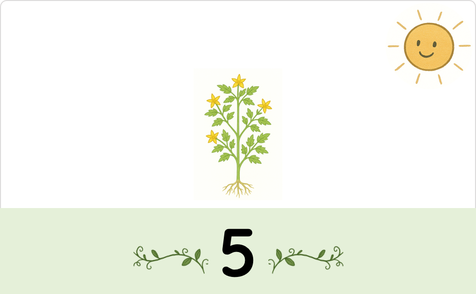 A single tomato plant with flowers, roots and the number 5
