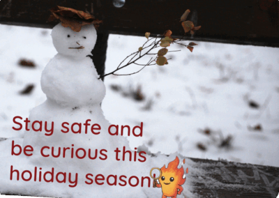 2025 Wildfire Curious