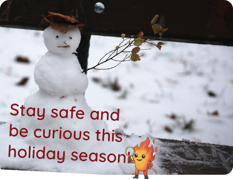 Small snowman on a park bench with message "Stay safe and be curious this holiday season!"
