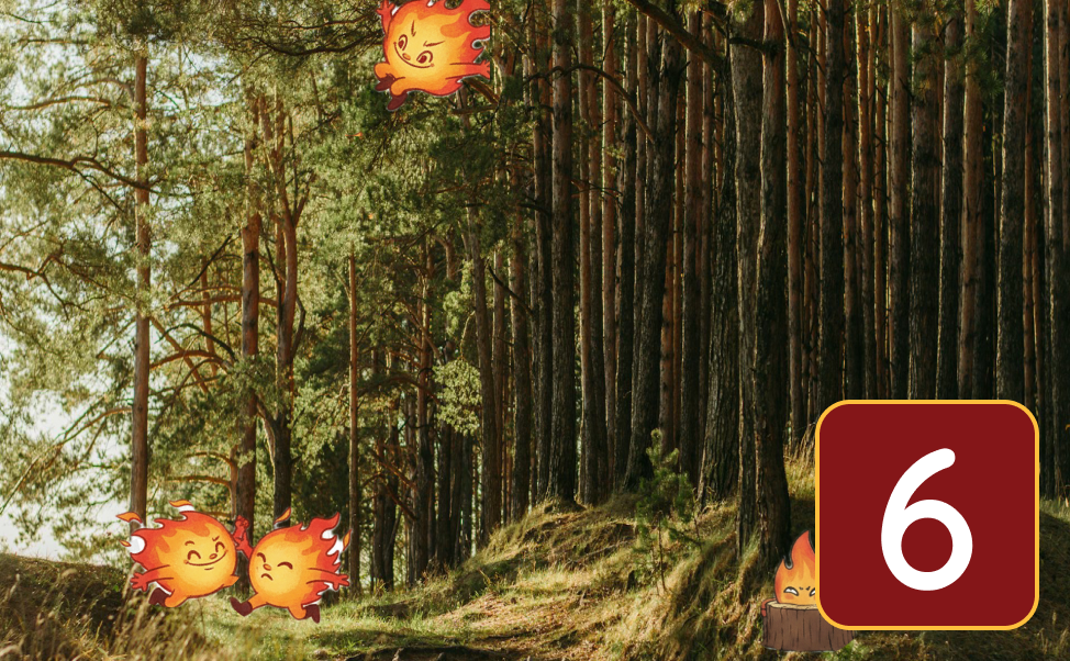 Curiosity #6: Meet the Wildfire Party Guests: Ground, Surface, and Crown